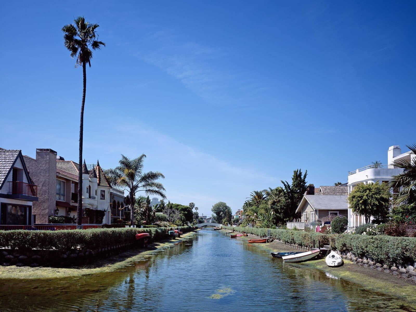 Palm trees and homes along the Venice Canals in Venice Beach, Los Angeles, on a sunny day