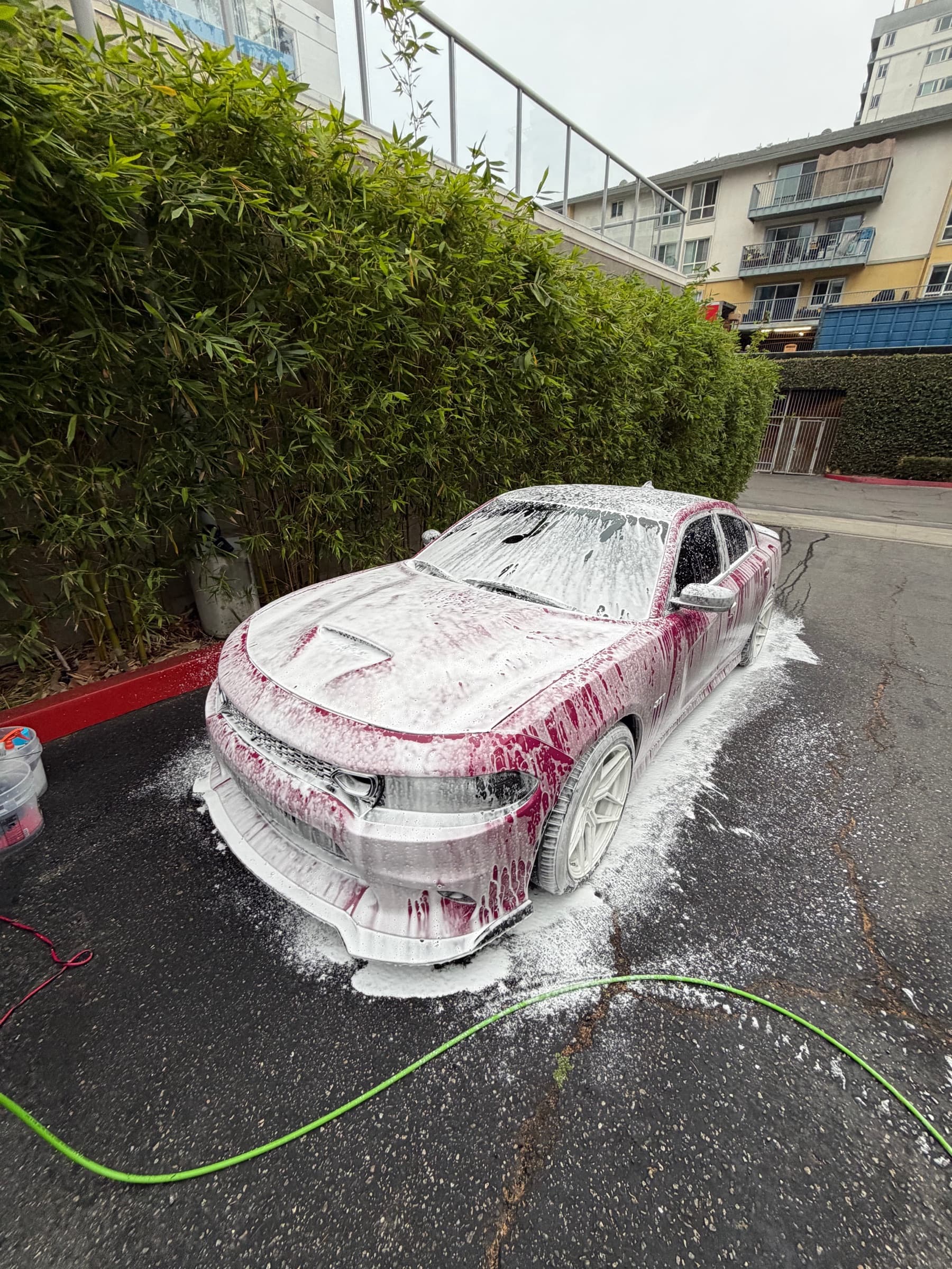 Dodge Charger covered in foam during the pre-wash stage next to a hedge